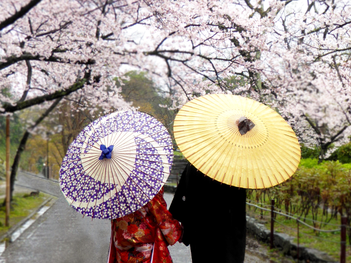 kumano-camino_walk-in-the-park